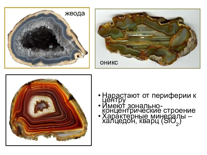 Нарастают от периферии к центру Имеют зонально-концентрические строение Характерные минералы – халцедон, кварц (SiO2) жеода оникс