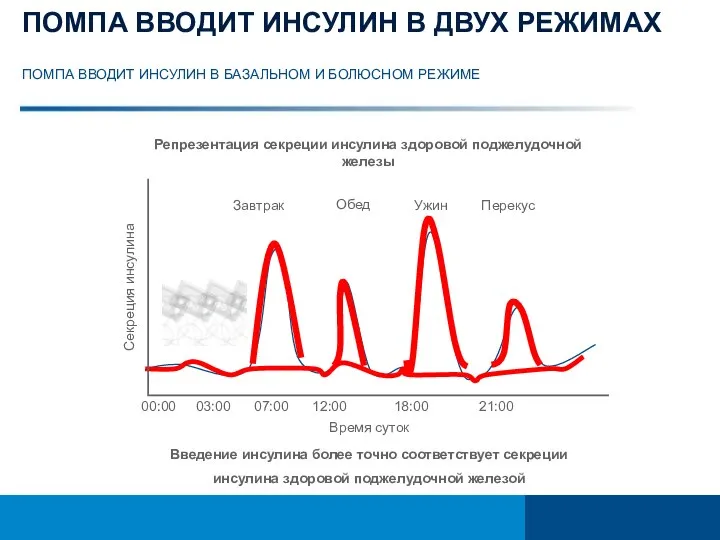 ПОМПА ВВОДИТ ИНСУЛИН В ДВУХ РЕЖИМАХ ПОМПА ВВОДИТ ИНСУЛИН В БАЗАЛЬНОМ И