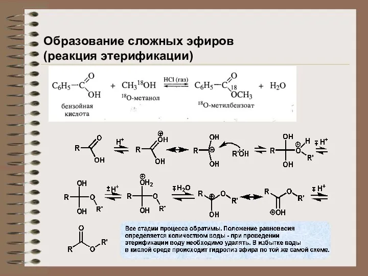 Образование сложных эфиров (реакция этерификации)