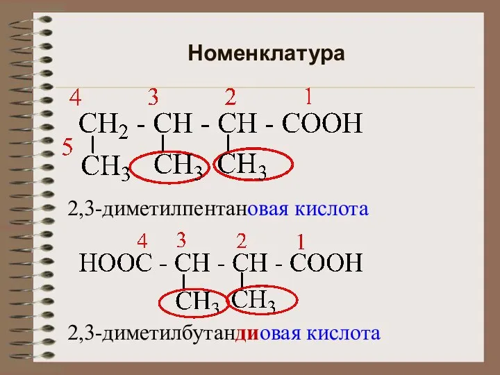 Номенклатура 2,3-диметилпентановая кислота 2,3-диметилбутандиовая кислота