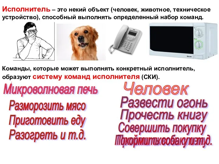 Исполнитель – это некий объект (человек, животное, техническое устройство), способный выполнять определенный