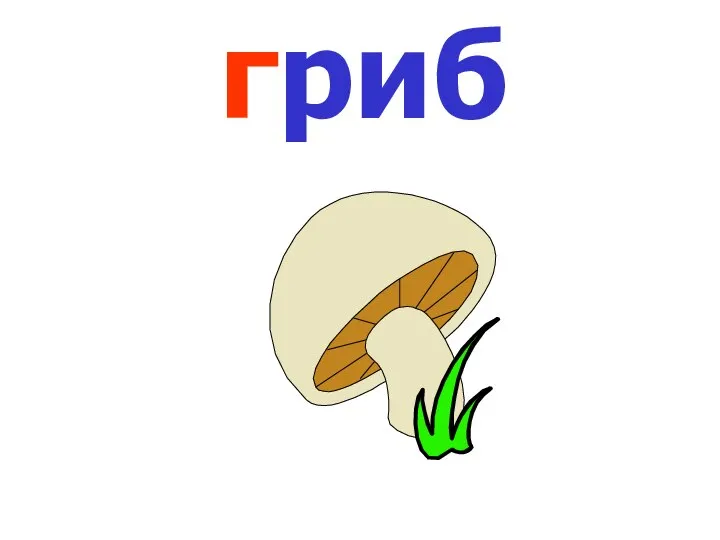 гриб