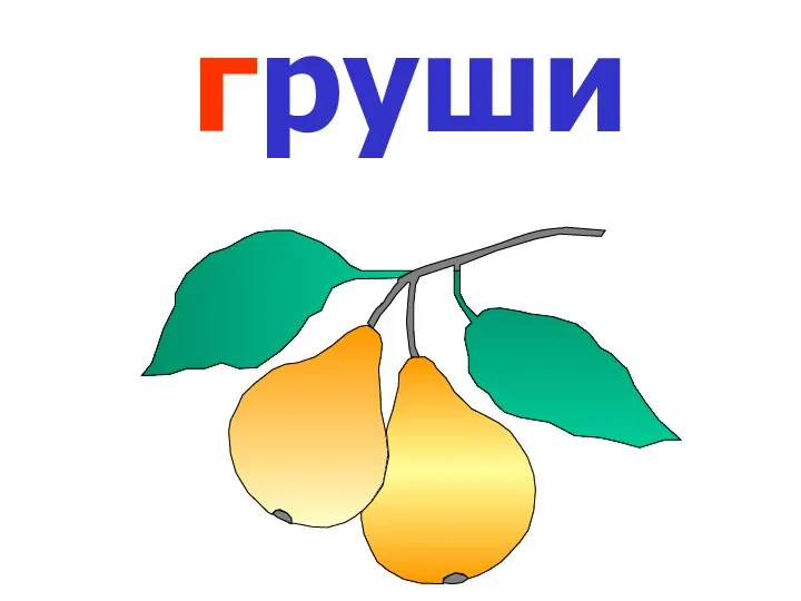 груши