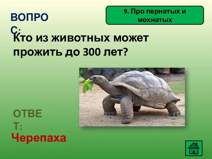 9. Про пернатых и мохнатых ВОПРОС: Кто из животных может прожить до 300 лет? ОТВЕТ: Черепаха