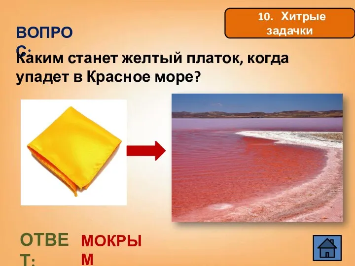 10. Хитрые задачки ВОПРОС: Каким станет желтый платок, когда упадет в Красное море? ОТВЕТ: МОКРЫМ