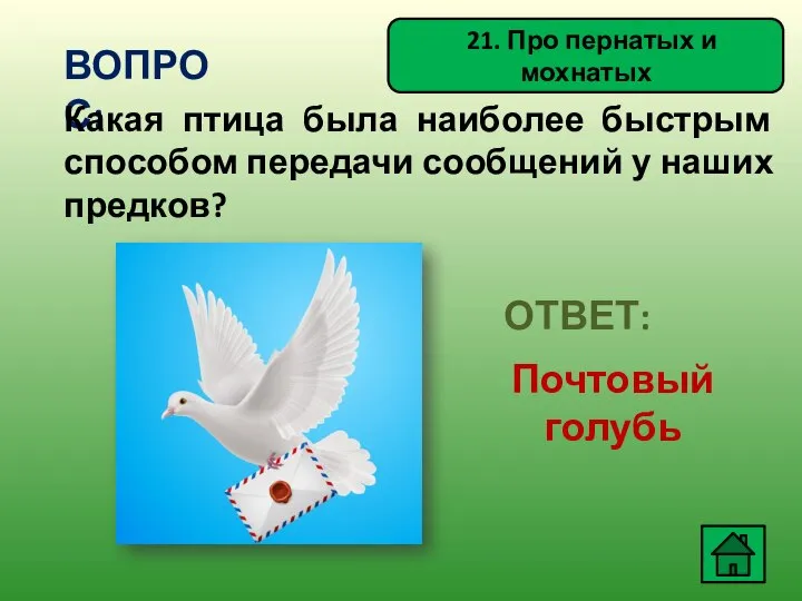 21. Про пернатых и мохнатых ВОПРОС: Какая птица была наиболее быстрым способом