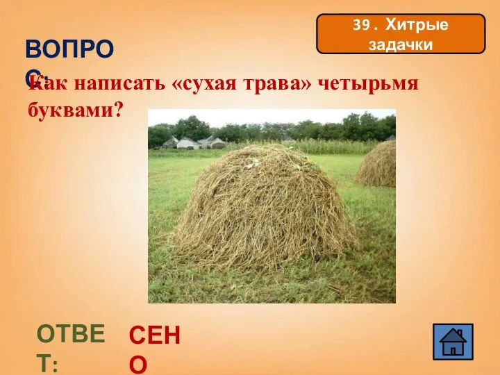 ВОПРОС: Как написать «сухая трава» четырьмя буквами? ОТВЕТ: СЕНО 39 . Хитрые задачки