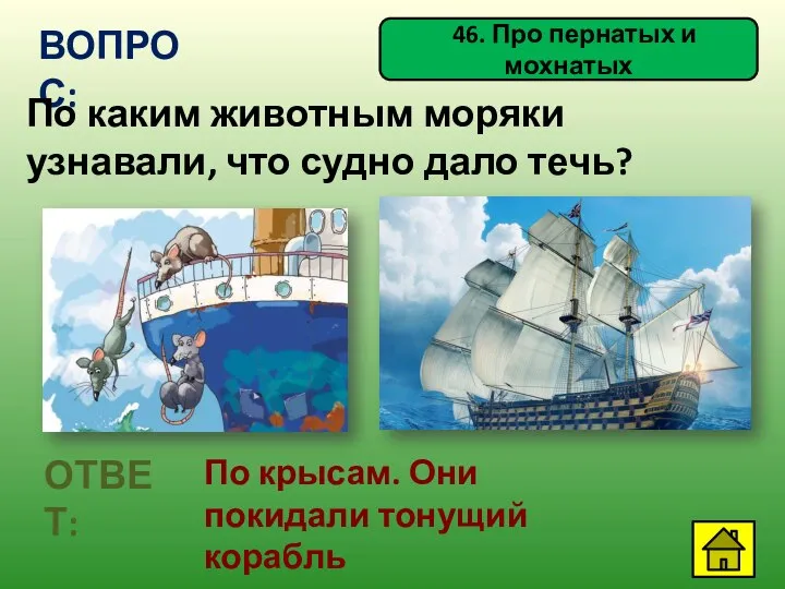 ВОПРОС: По каким животным моряки узнавали, что судно дало течь? ОТВЕТ: По