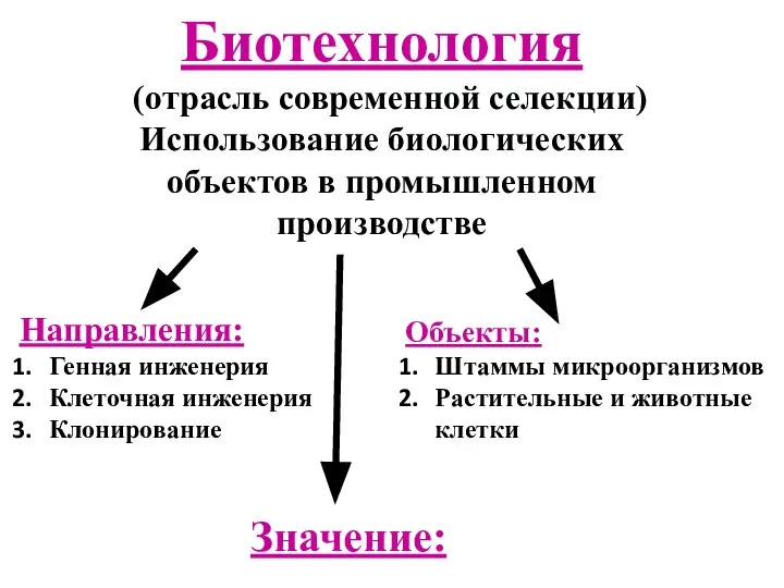 Биотехнология (отрасль современной селекции) Использование биологических объектов в промышленном производстве Направления: Генная