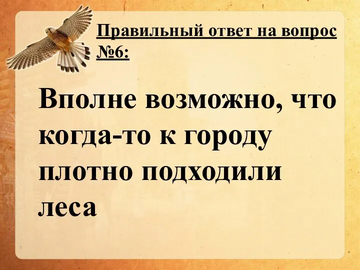 Правильный ответ на вопрос №6: Вполне возможно, что когда-то к городу плотно подходили леса