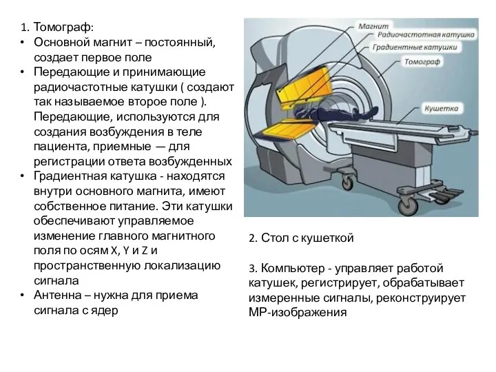 1. Томограф: Основной магнит – постоянный, создает первое поле Передающие и принимающие