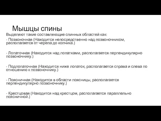 Мышцы спины Выделяют такие составляющие спинных областей как: - Позвоночная (Находится непосредственно