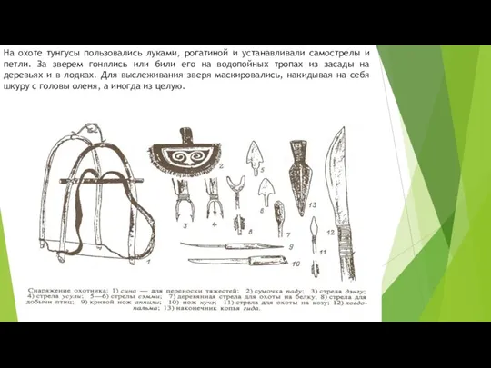 На охоте тунгусы пользовались луками, рогатиной и устанавливали самострелы и петли. За