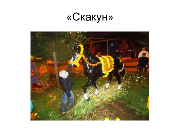 «Скакун»