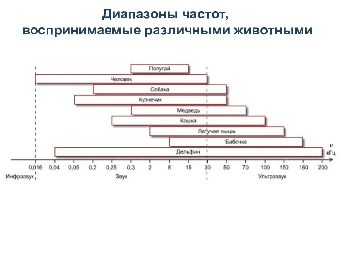 Диапазоны частот, воспринимаемые различными животными