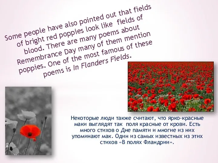 Some people have also pointed out that fields of bright red poppies