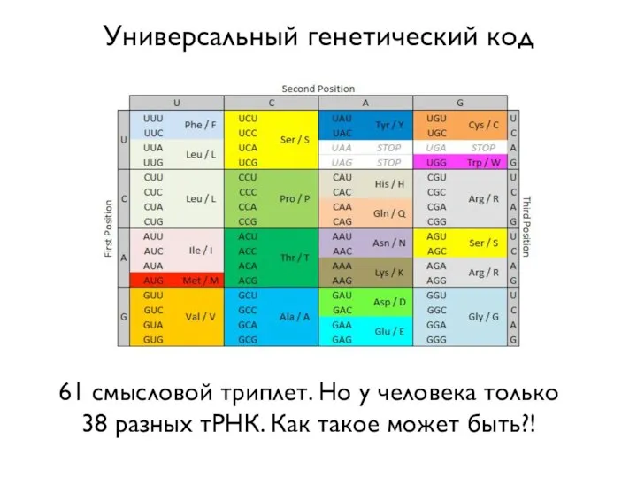 Универсальный генетический код 61 смысловой триплет. Но у человека только 38 разных