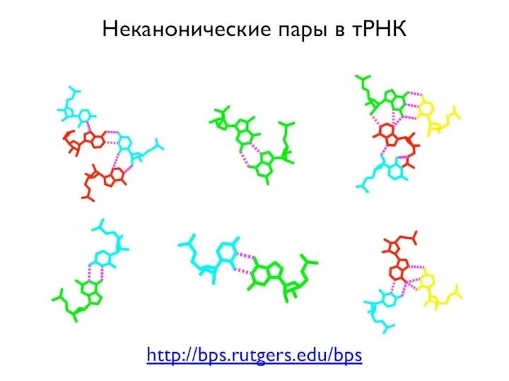 Неканонические пары в тРНК http://bps.rutgers.edu/bps