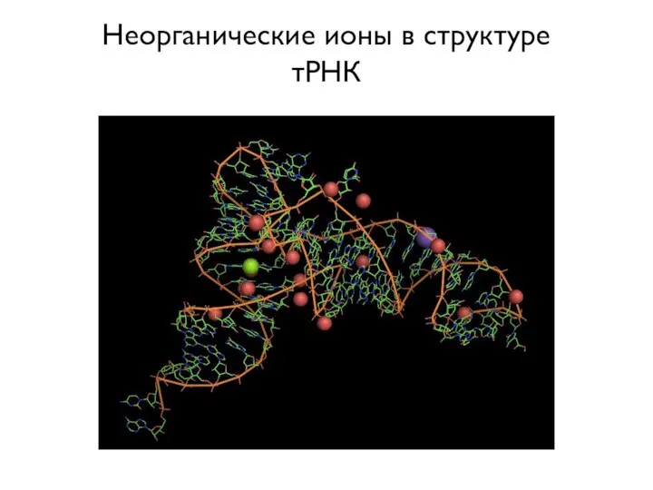 Неорганические ионы в структуре тРНК