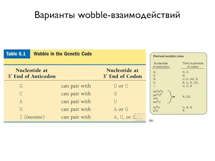 Варианты wobble-взаимодействий