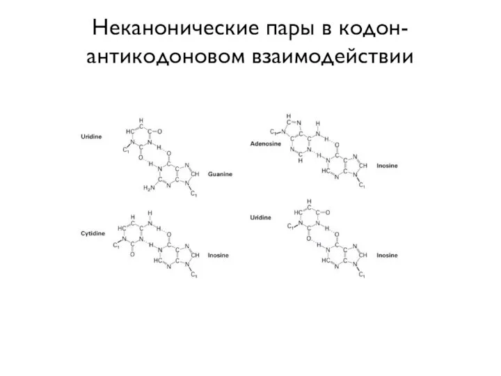 Неканонические пары в кодон-антикодоновом взаимодействии