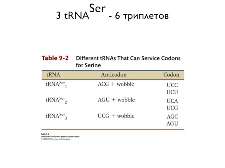 3 tRNASer - 6 триплетов