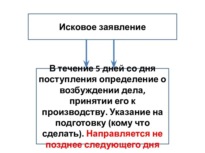 Исковое заявление В течение 5 дней со дня поступления определение о возбуждении