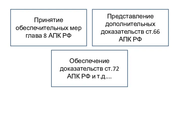 Принятие обеспечительных мер глава 8 АПК РФ Представление дополнительных доказательств ст.66 АПК