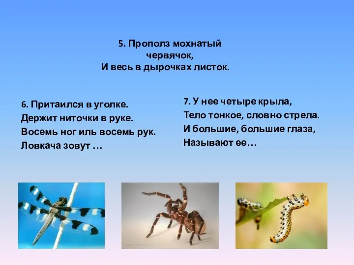 6. Притаился в уголке. Держит ниточки в руке. Восемь ног иль восемь