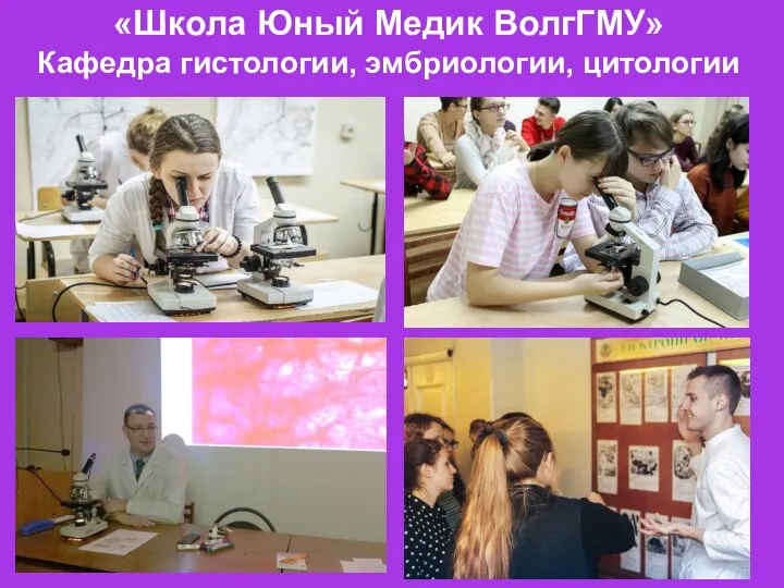 «Школа Юный Медик ВолгГМУ» Кафедра гистологии, эмбриологии, цитологии