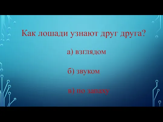 Как лошади узнают друг друга? а) взглядом б) звуком в) по запаху