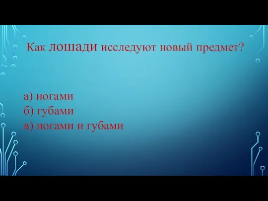 Как лошади исследуют новый предмет? а) ногами б) губами в) ногами и губами