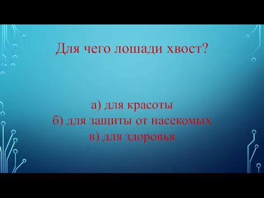 Для чего лошади хвост? а) для красоты б) для защиты от насекомых в) для здоровья