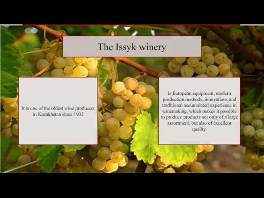 The Issyk winery is European equipment, modern production methods, innovations and traditional