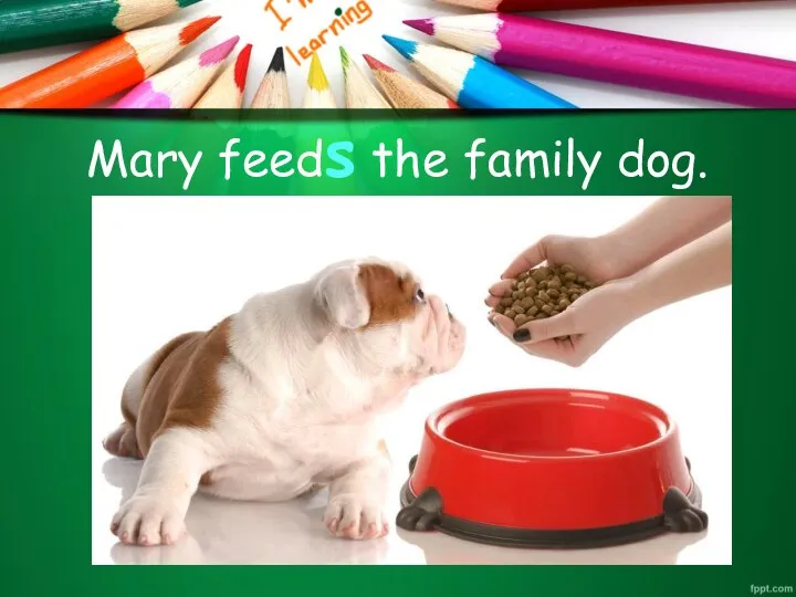 Mary feeds the family dog.