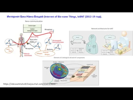 . Интернет Био-Нано Вещей (Internet of Bio-nano Things, IoBNT (2012-19 год). https://zdesvamnetut0.livejournal.com/15472.html