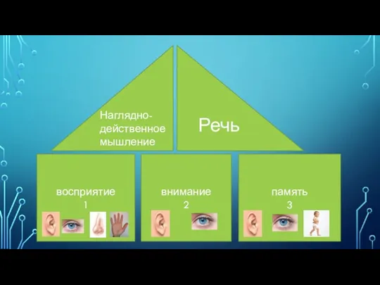 восприятие 1 внимание 2 память 3 Речь Наглядно-действенное мышление