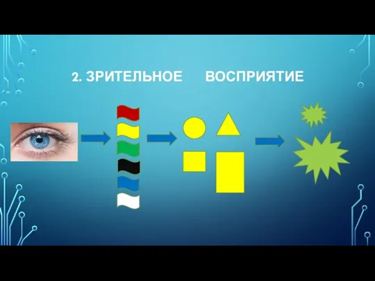 2. ЗРИТЕЛЬНОЕ ВОСПРИЯТИЕ