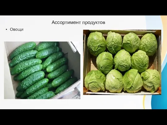 Ассортимент продуктов Овощи