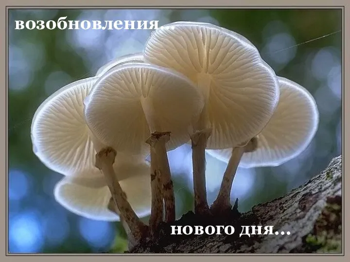 нового дня... возобновления…