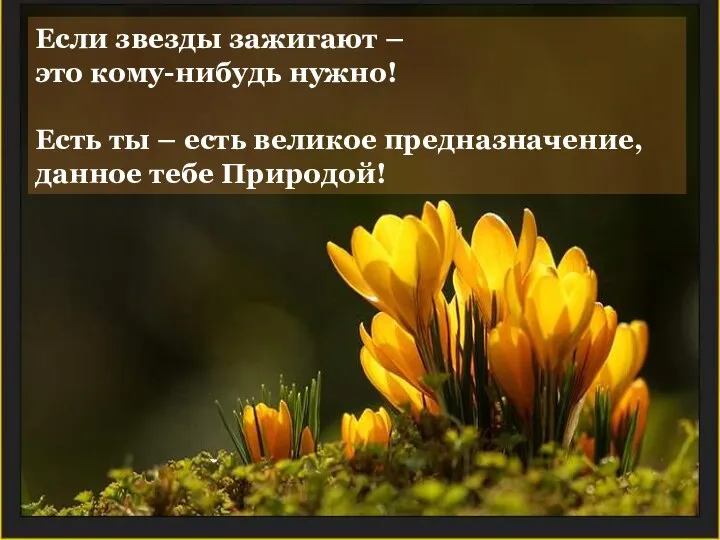 Если звезды зажигают – это кому-нибудь нужно! Есть ты – есть великое предназначение, данное тебе Природой!