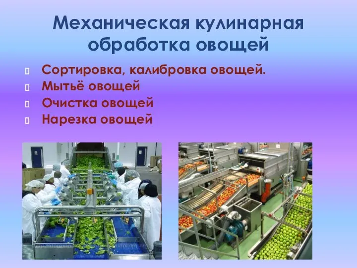 Механическая кулинарная обработка овощей Сортировка, калибровка овощей. Мытьё овощей Очистка овощей Нарезка овощей