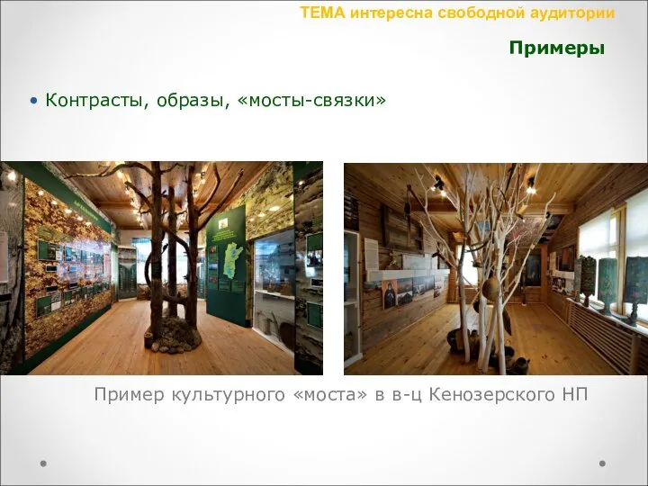 Пример культурного «моста» в в-ц Кенозерского НП ТЕМА интересна свободной аудитории Контрасты, образы, «мосты-связки» Примеры