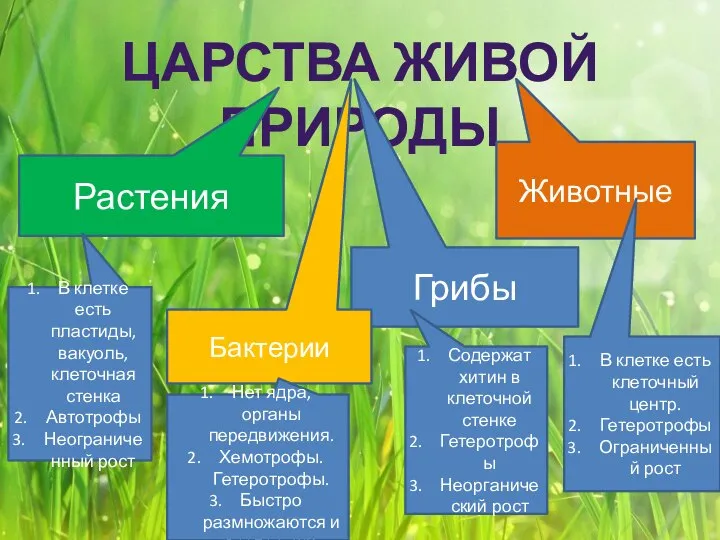 ЦАРСТВА ЖИВОЙ ПРИРОДЫ Растения Животные Грибы Бактерии В клетке есть пластиды, вакуоль,