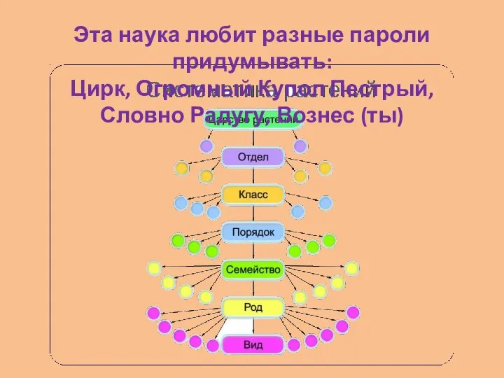 Эта наука любит разные пароли придумывать: Цирк, Огромный Купол Пестрый, Словно Радугу, Вознес (ты)