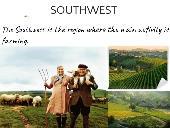 The Southwest is the region where the main activity is farming. SOUTHWEST
