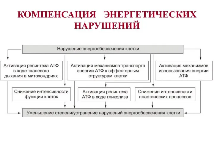 КОМПЕНСАЦИЯ ЭНЕРГЕТИЧЕСКИХ НАРУШЕНИЙ