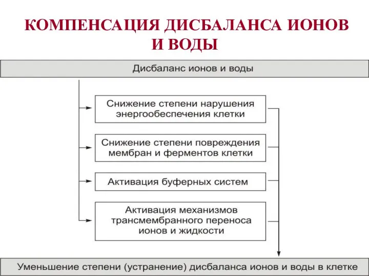 КОМПЕНСАЦИЯ ДИСБАЛАНСА ИОНОВ И ВОДЫ