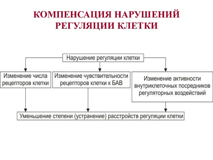 КОМПЕНСАЦИЯ НАРУШЕНИЙ РЕГУЛЯЦИИ КЛЕТКИ