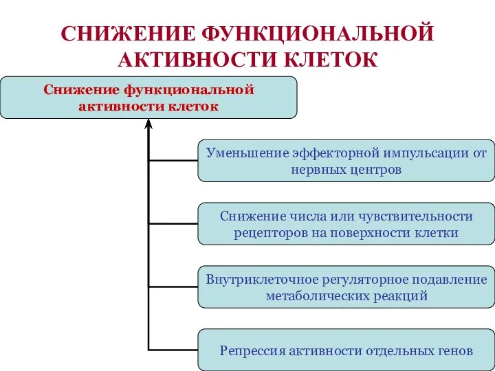 СНИЖЕНИЕ ФУНКЦИОНАЛЬНОЙ АКТИВНОСТИ КЛЕТОК